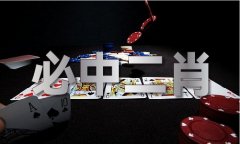 2019年期期精选最全最准的材料（中国）